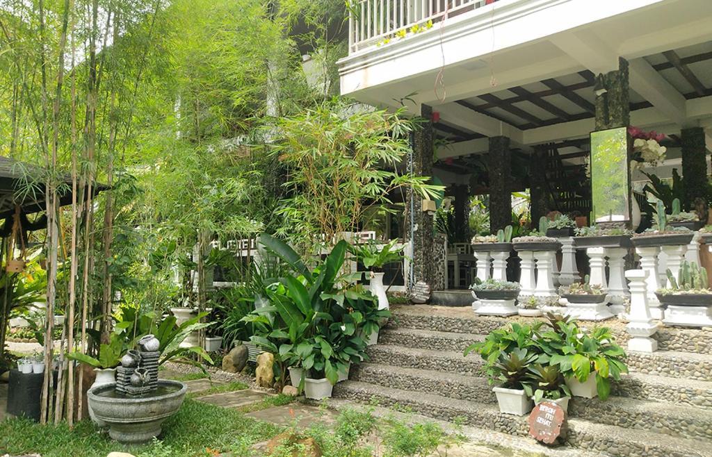 New The Heritage Resort & Restaurant Bukit Lawang Bandartelu Buitenkant foto